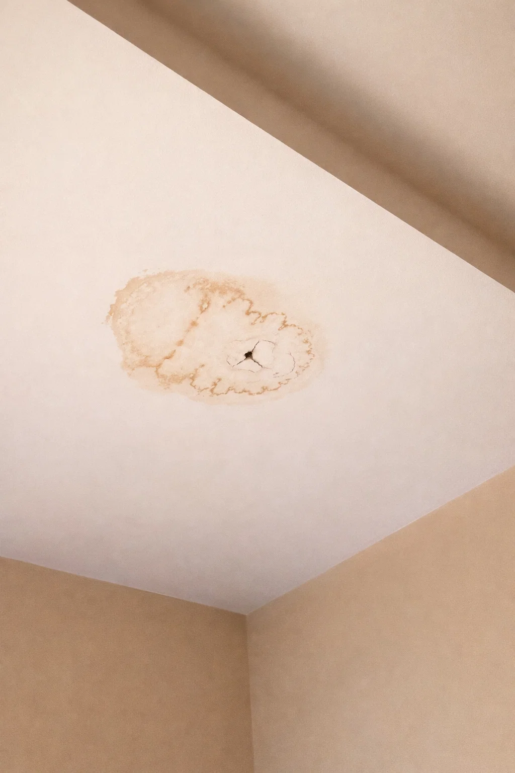 Traces d'humidité et auréoles au plafond causées par une infiltration de toiture